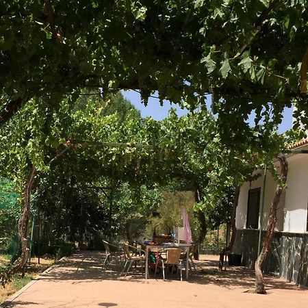 הוילה אלהמה דה גרנדה Casa De Ines מראה חיצוני תמונה